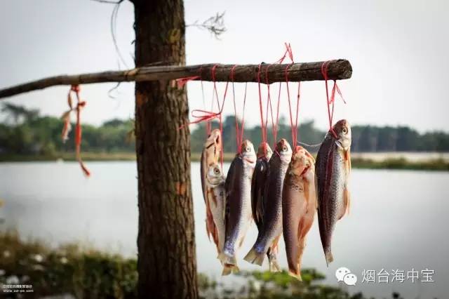 澳门沙金在线平台