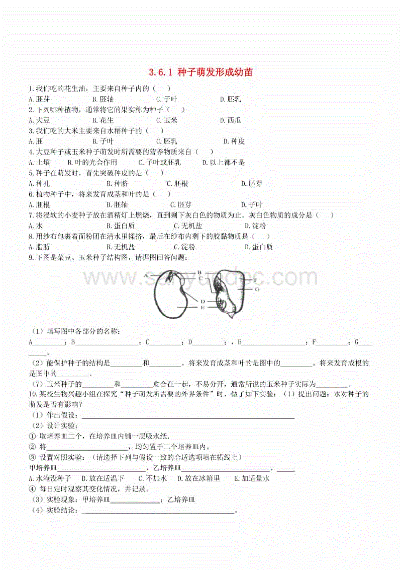 澳门沙金在线平台：严选美食：卤大虾、青蒜小炒肉、蒜苗回锅肉、