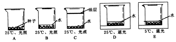 澳门沙金在线平台