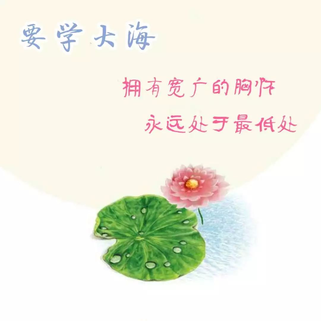 豆皮新做法，简单不低调，10块钱以内的低脂又减肥的日常美食_