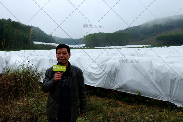 澳门沙金在线平台