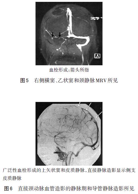 澳门沙金在线平台app